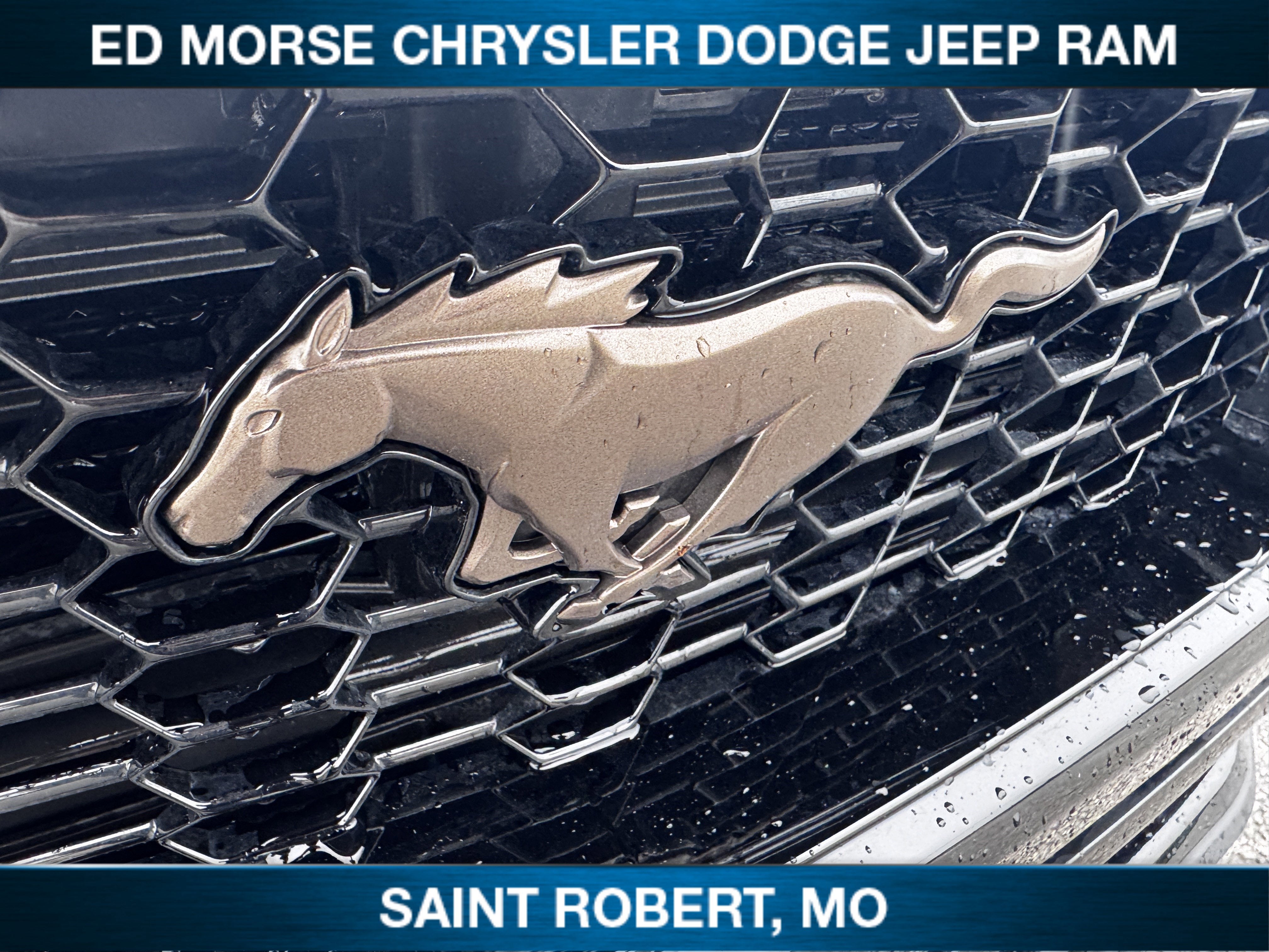 2025 Ford Mustang GT Premium
