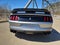 2020 Ford Mustang Shelby GT350