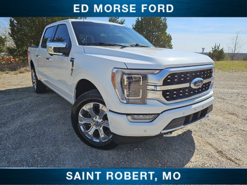 2023 Ford F-150 Platinum