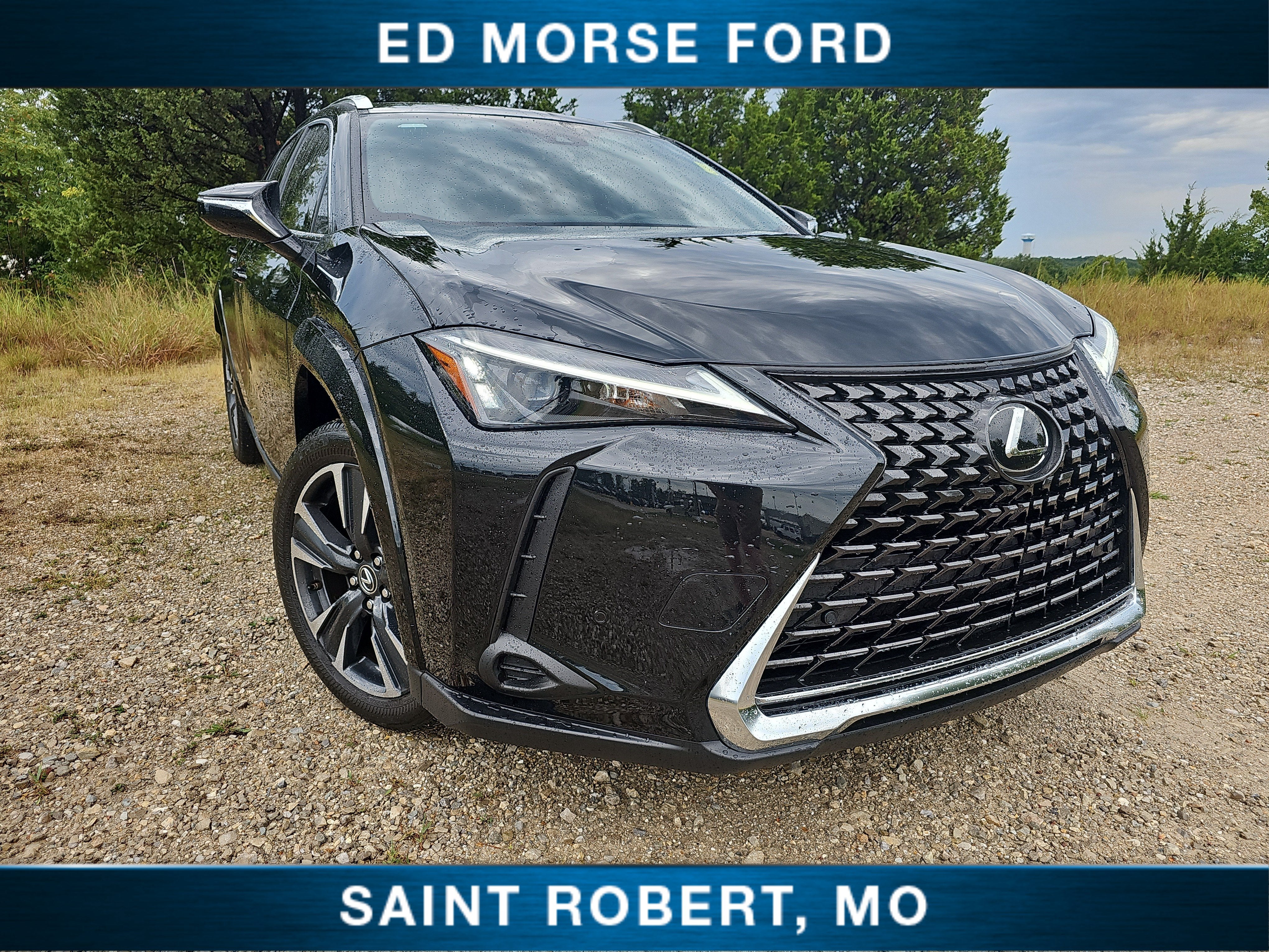 2024 Lexus UX UX 250h Premium