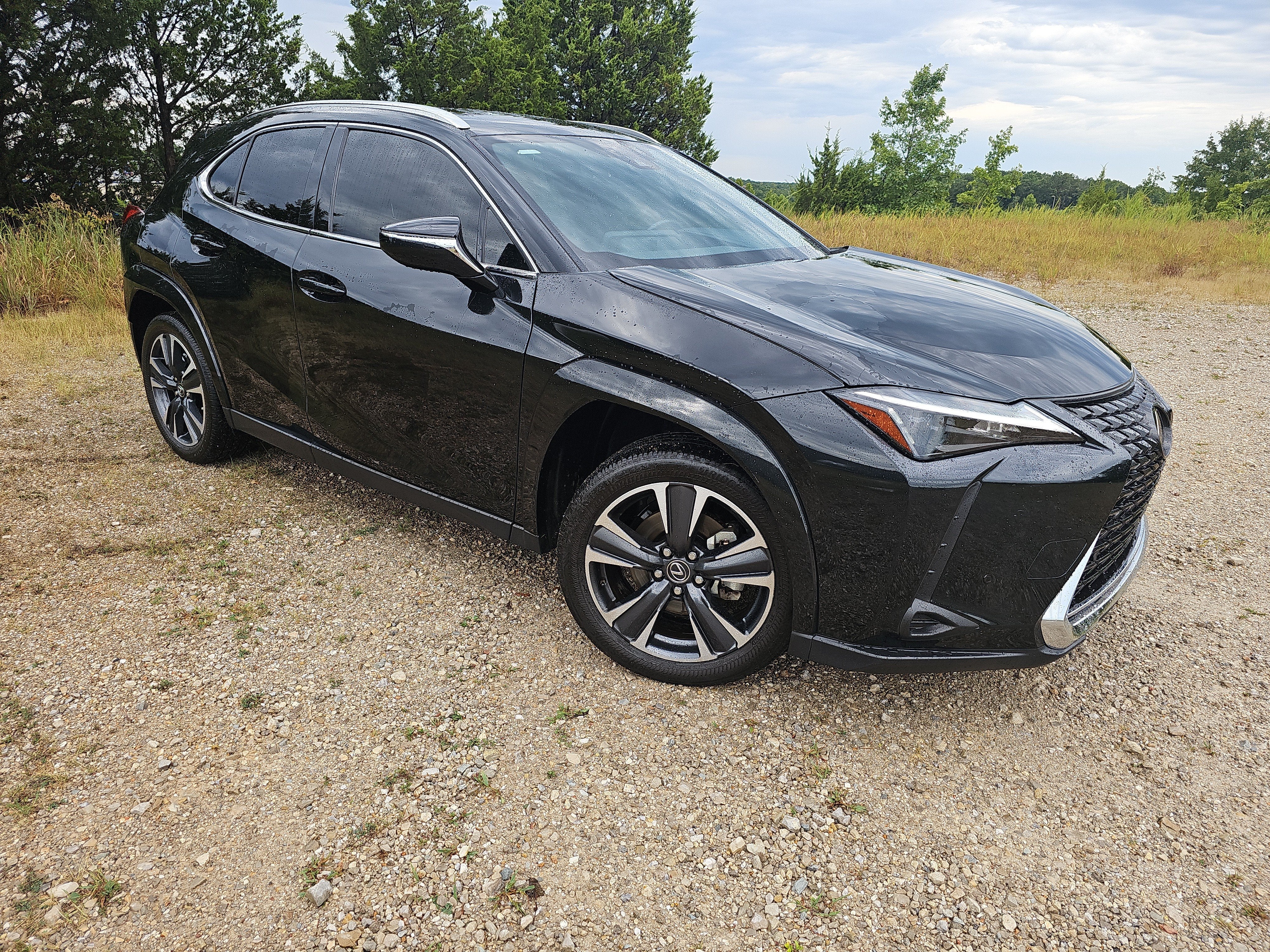 2024 Lexus UX UX 250h Premium
