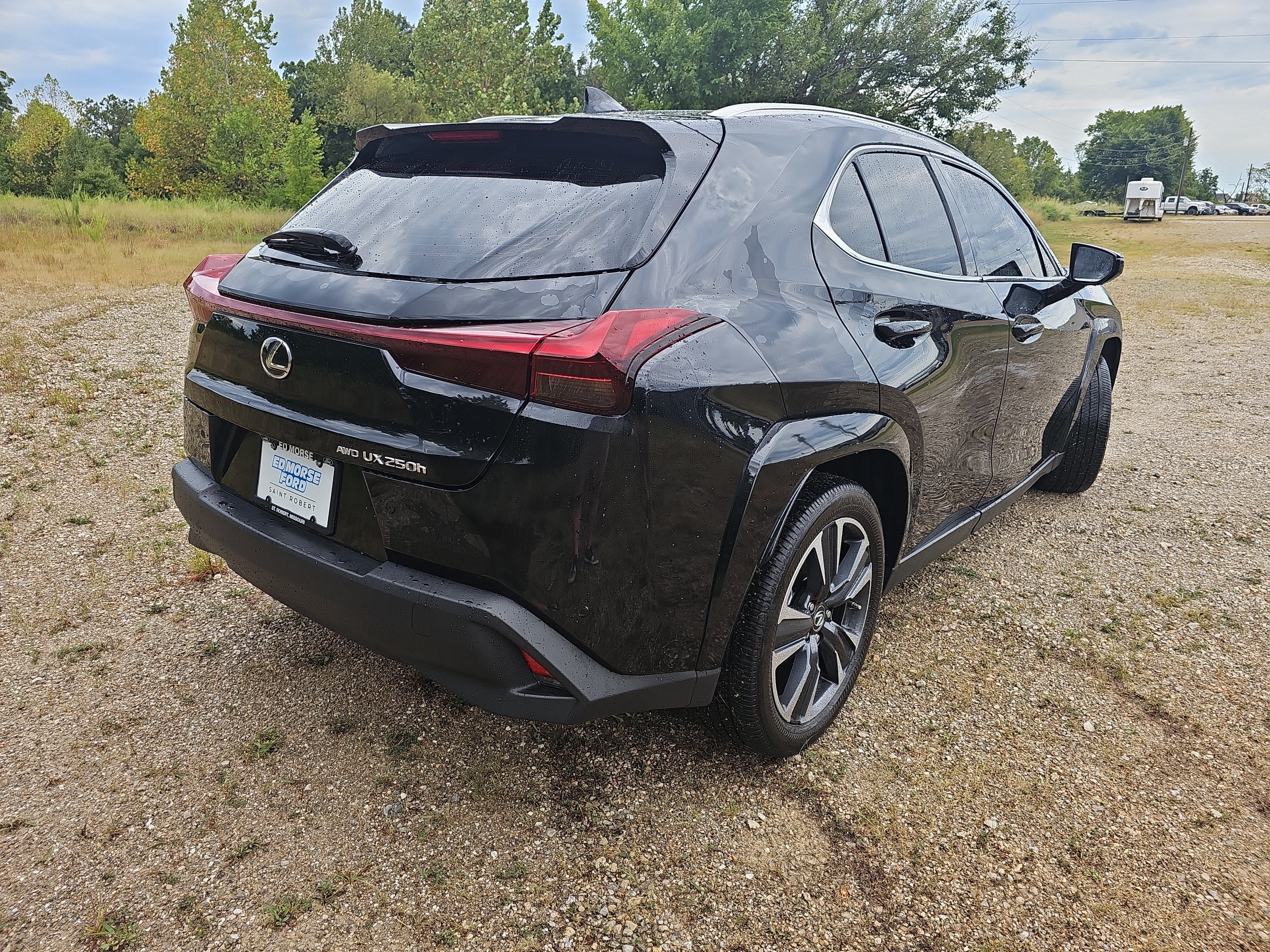 2024 Lexus UX UX 250h Premium