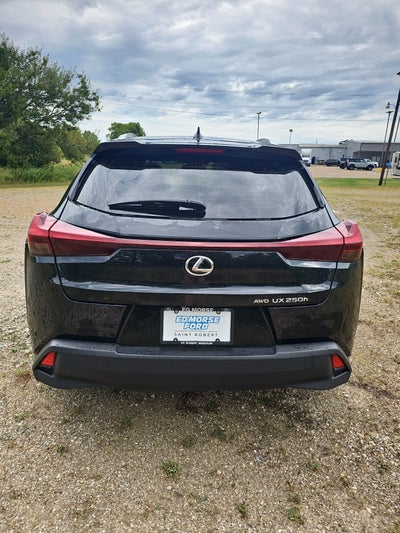 2024 Lexus UX UX 250h Premium
