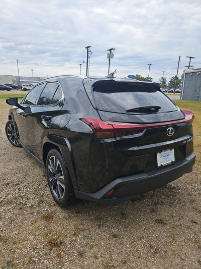2024 Lexus UX UX 250h Premium