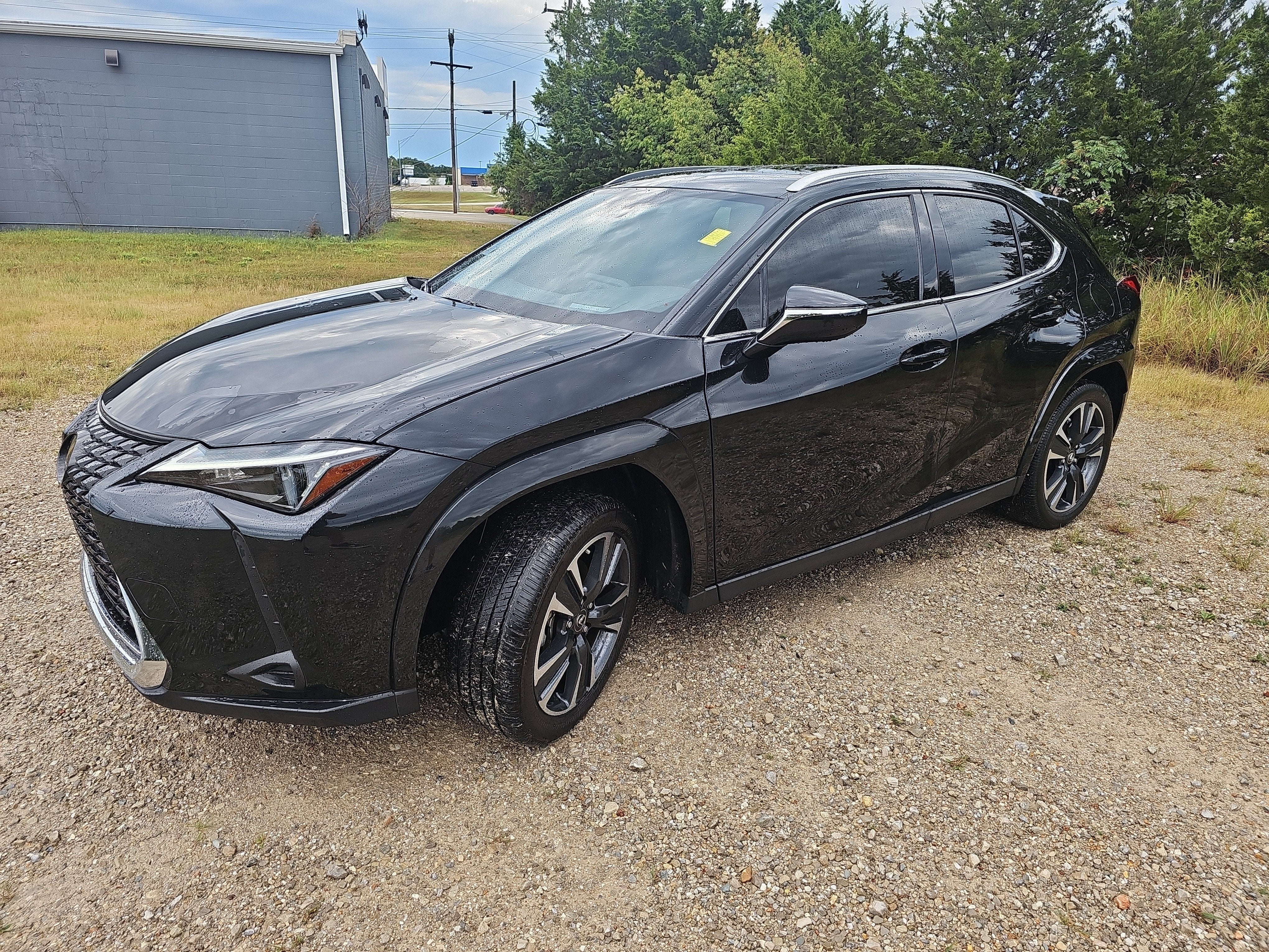 2024 Lexus UX UX 250h Premium